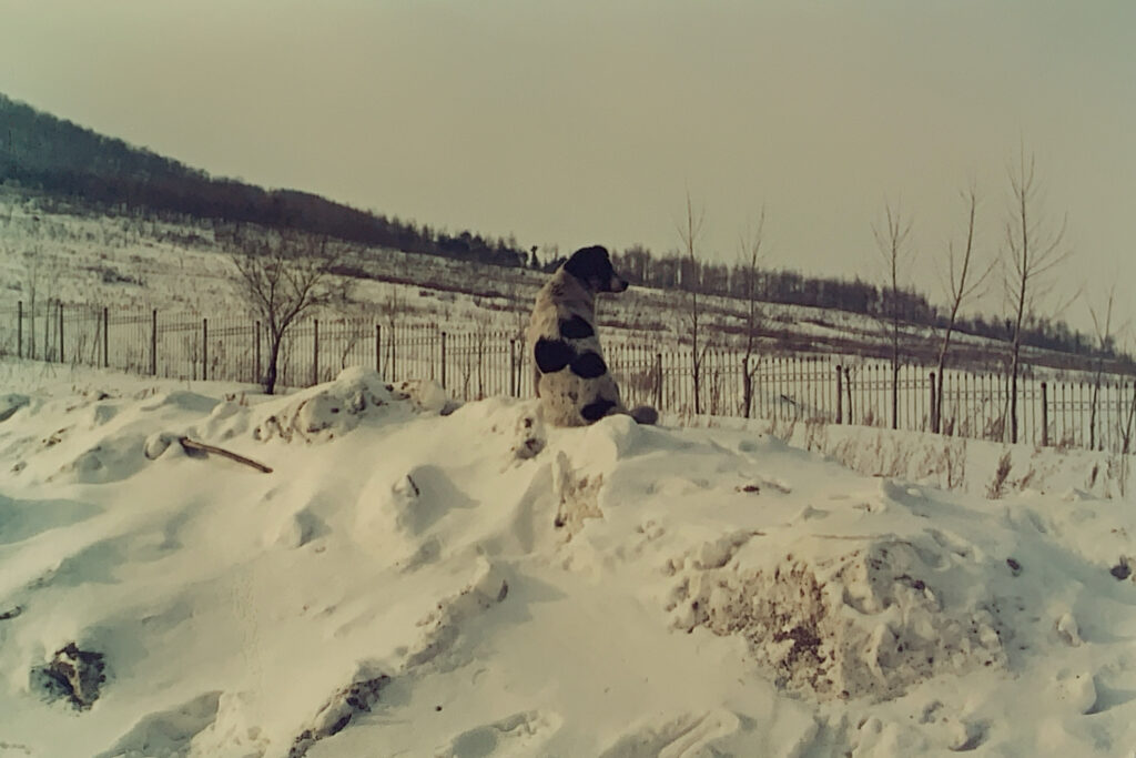 吉林長白山滑雪場 4